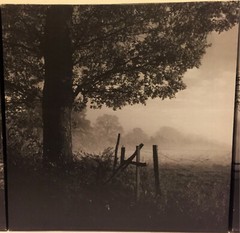 Set of 3: Black and White Landscape Framed Photo Prints on Canvas. 12″ x 12″