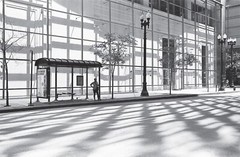 Bus Stop, Woman, Chicago 2016. B & W photograph. Quality Art Print