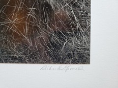 Richard Garrod, black and white photography, Hydraulic Mined Area
