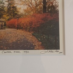 Michael Chen Signed Limited Edition Photo Set of 3 Matted & Framed Central Park
