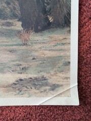 Antique Photo RED ROCK CANYON, Earl V. Lewis Co., LA, Hand Tinted Joshua Tree