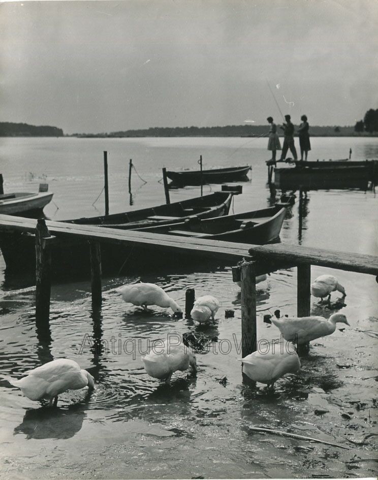 Boat docks geese by lake people fishing vintage Soviet Russian art photo Gailis