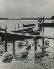 Boat docks geese by lake people fishing vintage Soviet Russian art photo Gailis