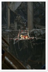 World Trade Center 9/11 Rescue Dog In Transport Silver Halide Photo – Ver 1