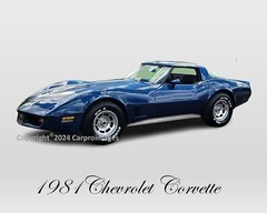 1981 Chevrolet Corvette Limited Edition Print 8″ x 10″ Photo GREAT GIFT IDEA