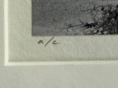 DETAILS LEE FRIEDLANDER (B. 1934) Knoxville, Tennessee, 1971 gelatin silver pri