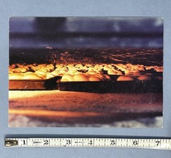 Orit Raff (b. 1970) Art Announcement Card 2005 – Insatiable
