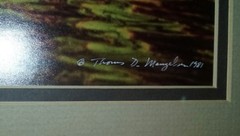 Thomas D Mangelsen set of 3 prints signed & #’d dated1981