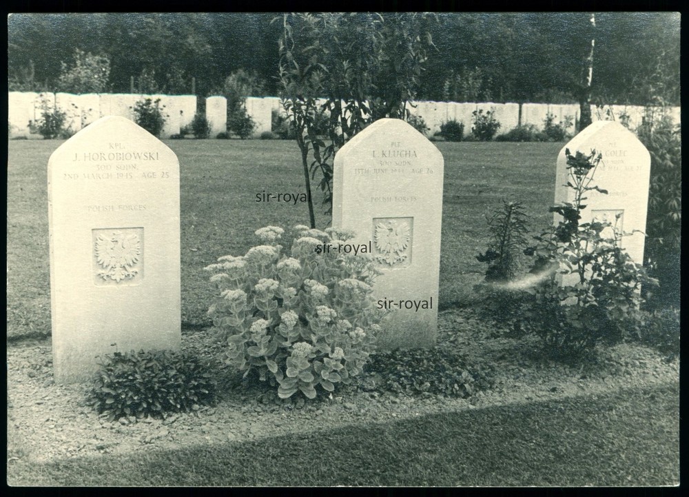 Kriegsgrab WK2 – Polnische Soldaten – gefallen 1945 – Foto 10x7cm