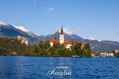 *One of a Kind* 8×10 Photograph Printed on Canvas of Lake Bled Slovenia
