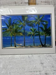 Set Of Four Hawaiian Landmark Images By Vincent K. Tylor