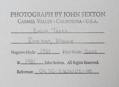 «Birches» Original JOHN SEXTON Signed Photograph 11×14/ 16×20 Framed