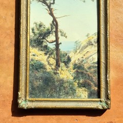 FREDERICK W. MARTIN Hand-Tinted Hand-Color Photo Torrey Pines 8.75″ x 4.75″ VGC