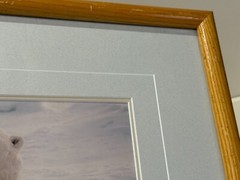 Thomas D. Mangelsen Polar Bear Limited Edition, 445/950, Signed & Framed