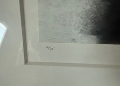Andy Katz SHADOWS B&W 8 x 13 Photograph Framed 17 x 25