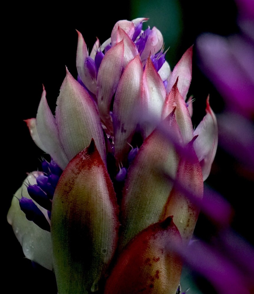 fine art photography prints