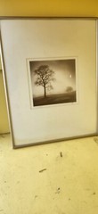 Calvo Trees «In Just Spring», Black & White Print By Richard Calvo, Framed