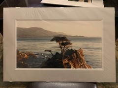 3- Professional Signature Pebble Beach Photographs Matted for Framing