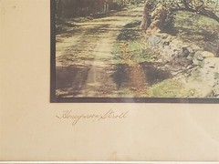 VINTAGE Wallace Nutting Colorized Photo HONEYMOON STROLL Nature Road 14 3/4″x12″