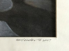 Carol Coates «Dissonance IIl» Color Photograph in Archival Pigments 2007