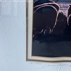 New Zealand Sheep Silhouetted Photograph by Noella Ballenger Signed Framed