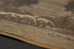 Original 1910 Countryside Flock Sheep Painted Photo Stewart Publishing Co. N.Y..