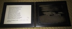 VIK MUNIZ ‘Under the Bed’ SIGNED Ambrotype Photograph from ‘Clayton Days’ Framed