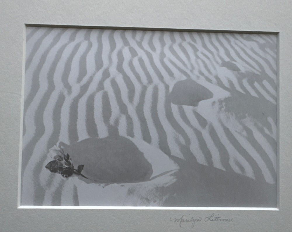 Signed Marilyn Littman Original B&W Photograph Framed Rose Sand Dunes