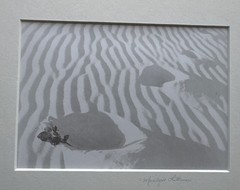 Signed Marilyn Littman Original B&W Photograph Framed Rose Sand Dunes