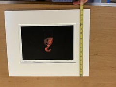 Monmouth University Mark Ludak, MFA Signed Photo Red Hook 2004