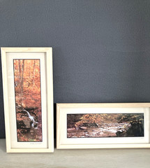 Joseph Barnett Photography Set of 2 Signed Autumn Themed Nature Framed Photos