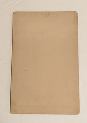 Antique Cabinet Card Lady Leaning Against A Chair Bon Ton Gallery Des Moines
