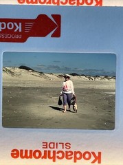 Lot Of 40 Vintage Kodachrome Tropical Island Vacation 35mm Color Slides ct33