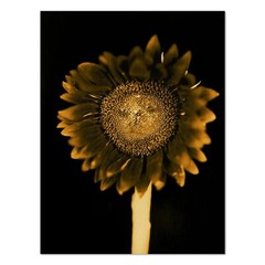 CHUCK CLOSE ‘Sunflower’, 2006/2011 SIGNED Photograph 24 x 18 in. #32/60 **NEW**