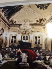 Andrew Mosedale Signed Cemetary Ballroom Photograph in Matte 12 x 9 FREE SHIP!!!