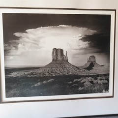 Mittens & Thundercloud by Anthony Beckesh 20 x 23 1/2″ B&W Photograph (READ)
