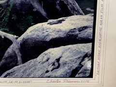 Original Photograph by Charles Freeman Signed w/Mat Board