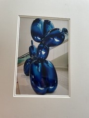 Alexander Hofrichter Ballon Dog 2002 Photo German Artist 12+8 Inches Blue