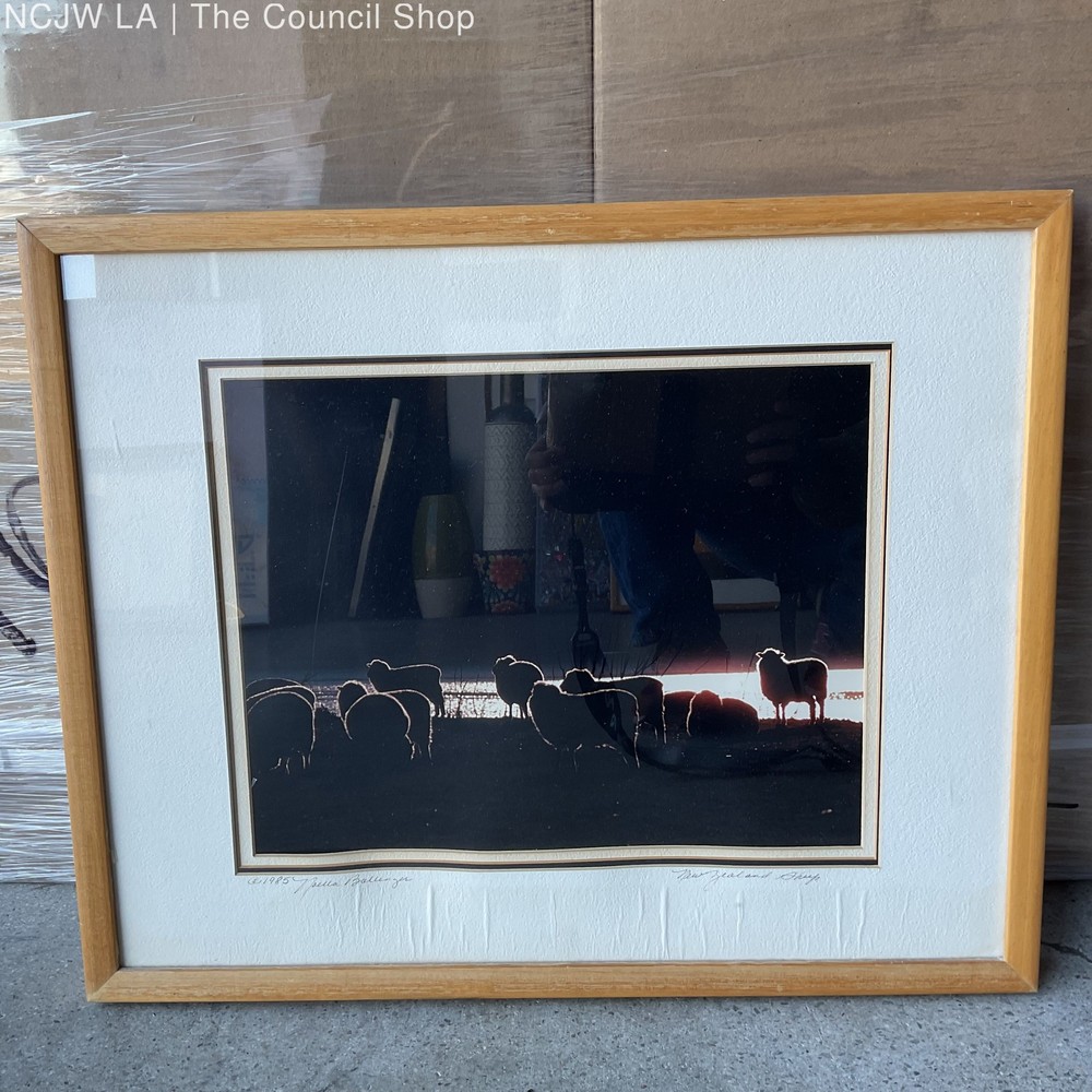New Zealand Sheep Silhouetted Photograph by Noella Ballenger Signed Framed