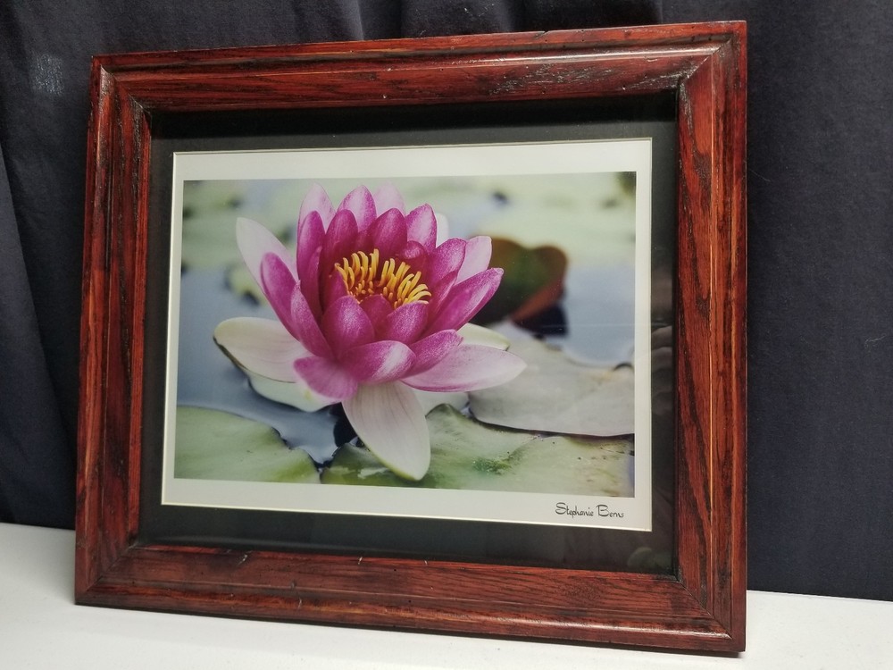 Lotus Flower Signed Photograph On Metallic Paper in Custom Hand Made Oak Frame