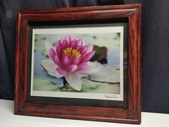 Lotus Flower Signed Photograph On Metallic Paper in Custom Hand Made Oak Frame