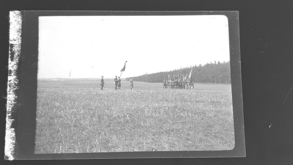 Negative Migratory Bird Boy Scout Free Flare Circa 1930 Flag 5x8cm