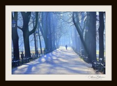 Fine Art Photography Catherine Bohemier Signed Limited to 5 – Urban Respite