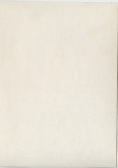 Z5340 Photo 1970s Artistic Nude Pretty Woman