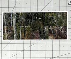 Susan Rankaitis (b. 1949) Art Announcement Card 2007 – Limbicwork