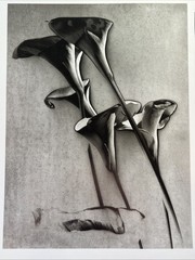 MAN RAY PHOTO B&W PRINT “TULIPS” & “HAND with EGG, 1946” Art MAN RAY Dada Print