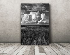 Black and white Iowa landscape photography print Midwest farmland wall art photo