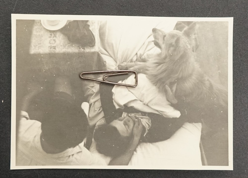 Photo Portrait Young Woman Model Pet Dog Man Cuddle Vintage Picture Old