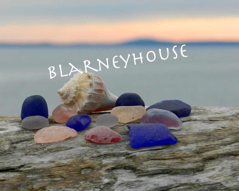 BEAUTIFUL PHOTO OF SEA GLASS ON DRIFTWOOD 4!