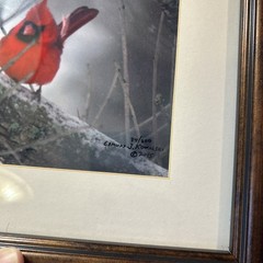 Two Signed Numbered Framed Bird Photographs Cardinal Bluebird By E.J. Kowalski